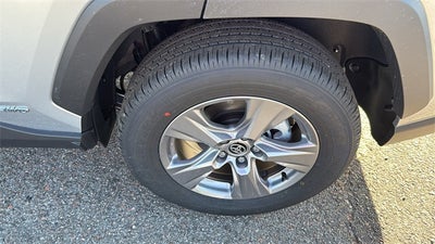 2025 Toyota RAV4 Hybrid XLE