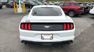 2022 Ford Mustang EcoBoost